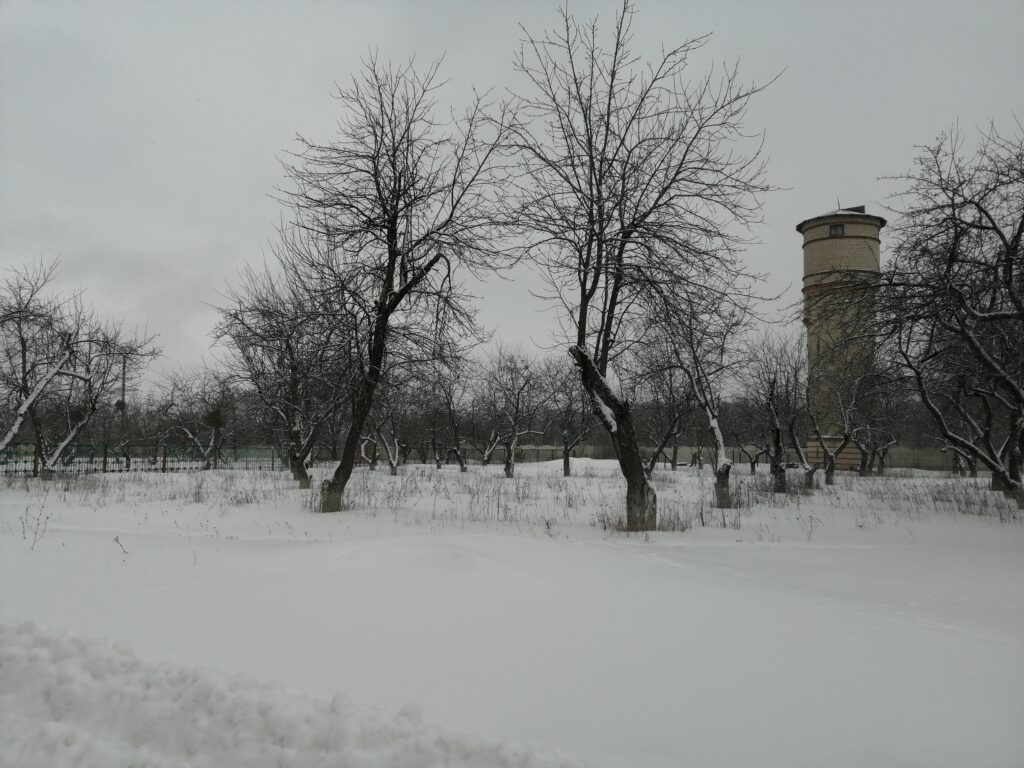 Img 20220202 110603
